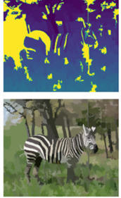 A mean-shift segmented image of a zebra and its filtered version.